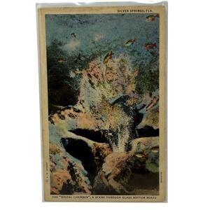 Vintage Linen Postcard Silver Springs Florida Curt Teich Glass Bottom Boat Image